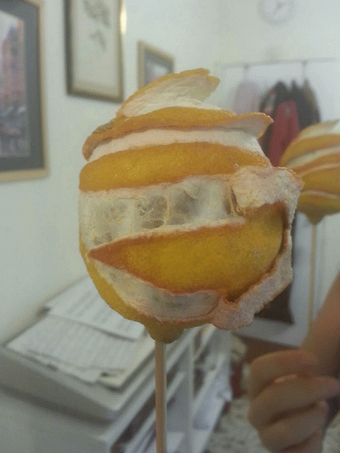 20130908_092500_1-MOTION2