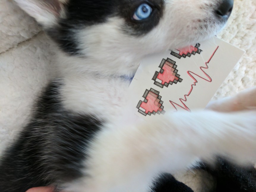 img_20170214_140712_1